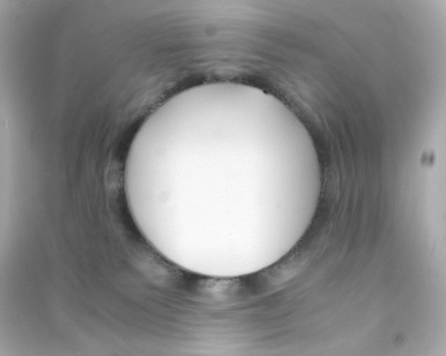 X0000090450135200708102058