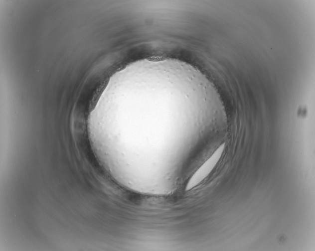 X0000090450137200708102057