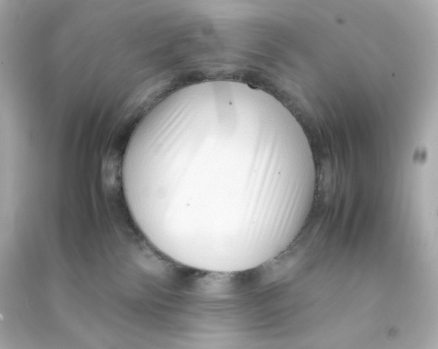 X0000090450138200708102057