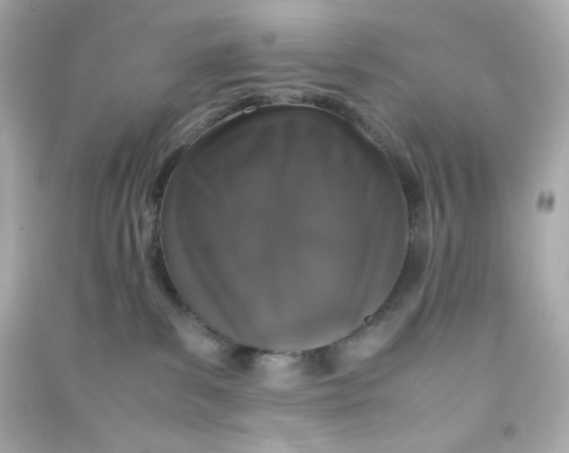 X0000090450139200708102057