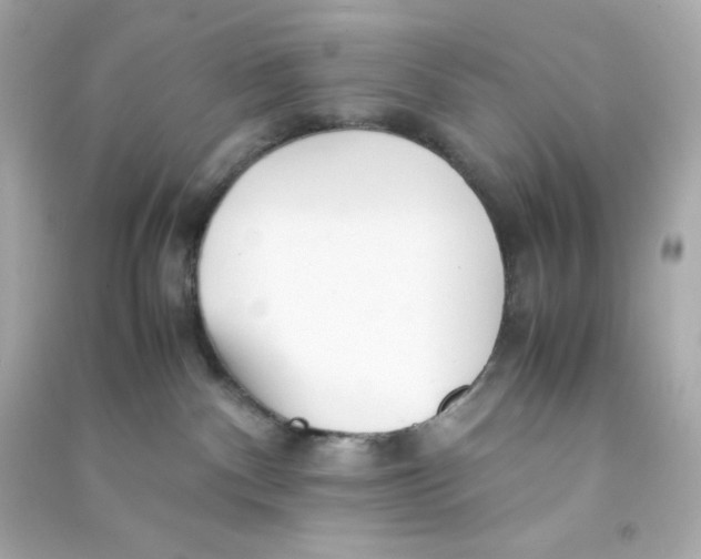 X0000090450140200708102057