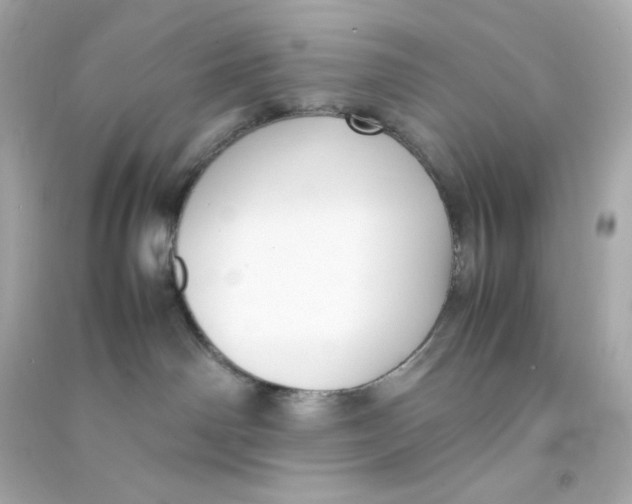 X0000090450142200708102057