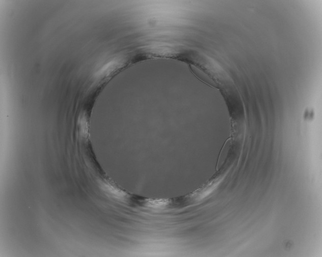 X0000090450143200708102057