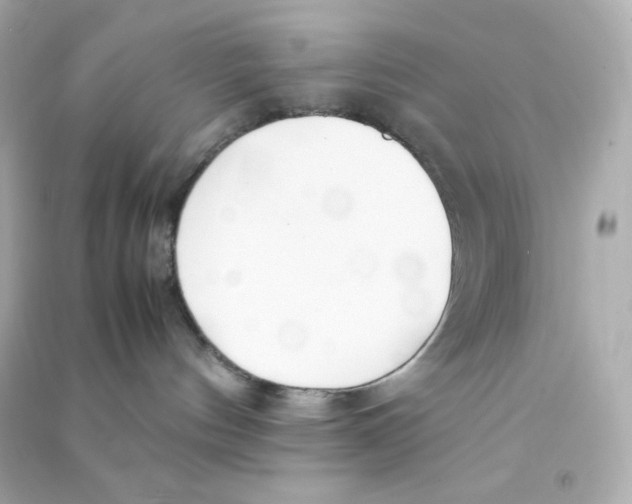 X0000090450144200708102057