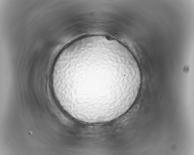 X0000090450145200708102057