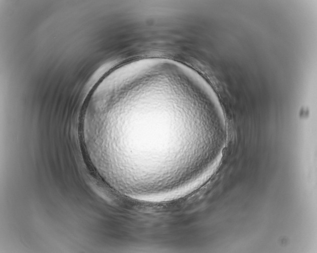 X0000090450147200708102057