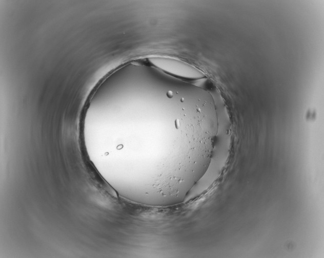 X0000090450148200708102057