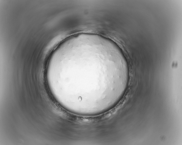 X0000090450149200708102057