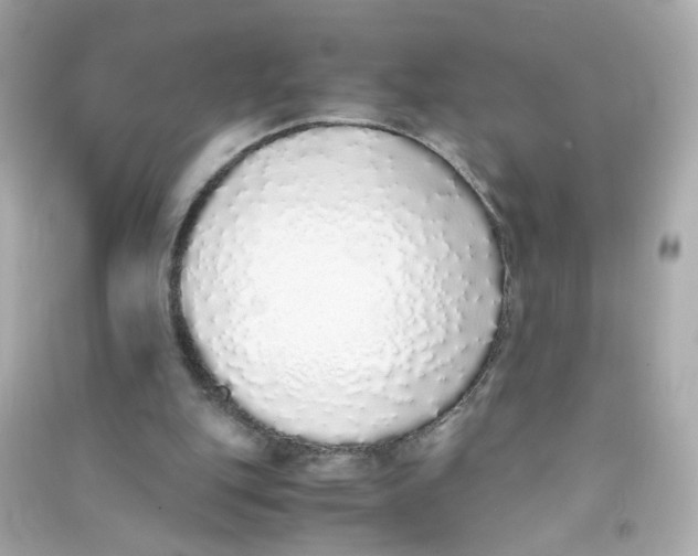 X0000090450151200708102057