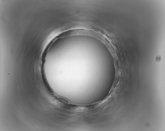 X0000090450152200708102057