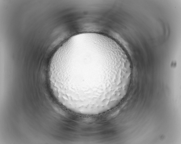 X0000090450153200708102057