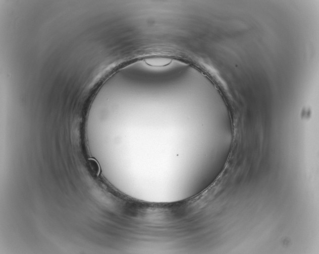 X0000090450154200708102057