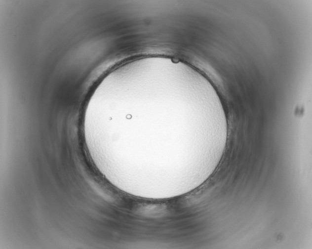 X0000090450155200708102057