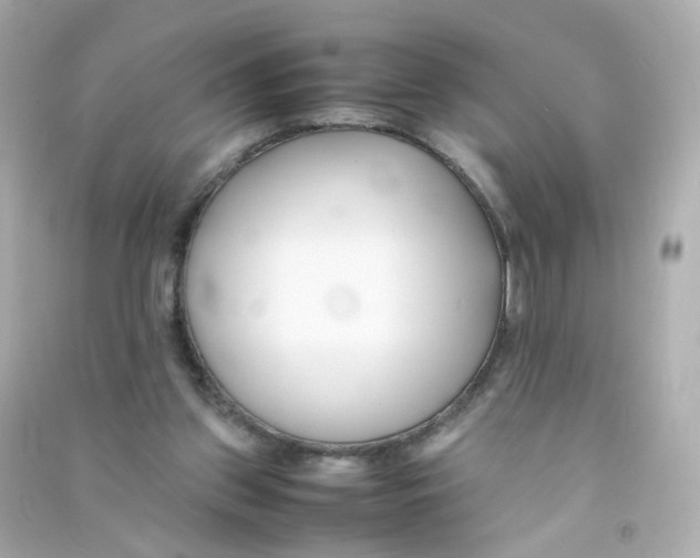 X0000090450157200708102057