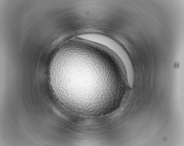 X0000090450158200708102057