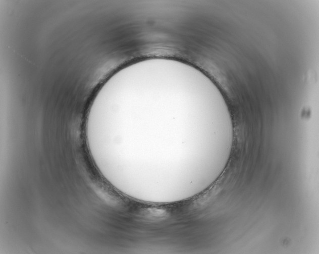 X0000090450159200708102057