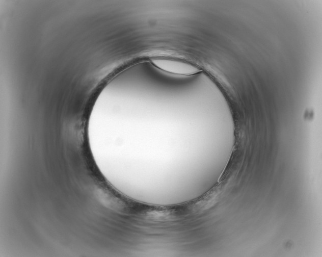 X0000090450160200708102057