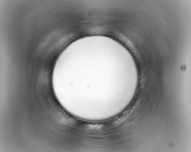 X0000090450161200708102057