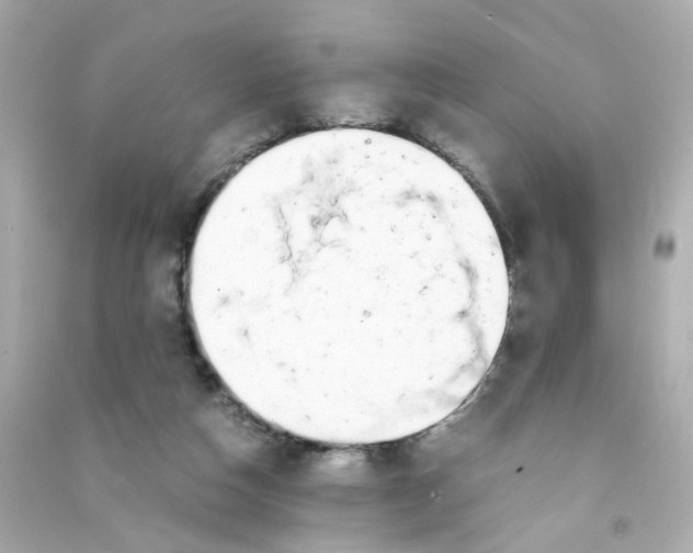 X0000090450162200708102057