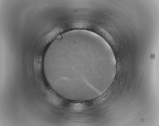 X0000090450163200708102057