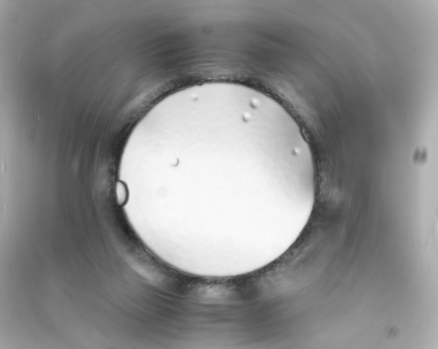 X0000090450165200708102057