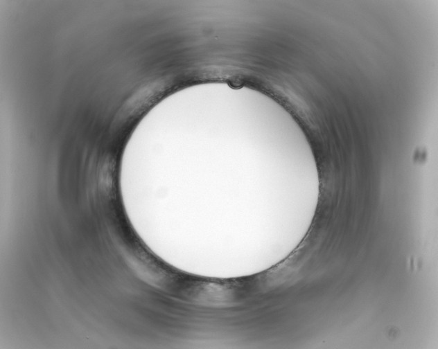 X0000090450166200708102057