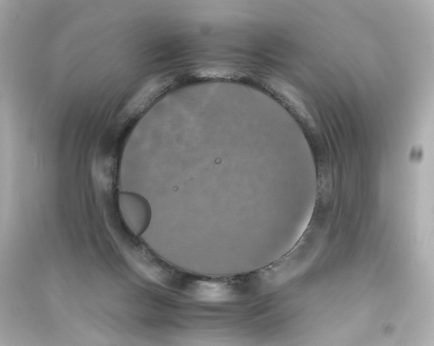 X0000090450167200708102057