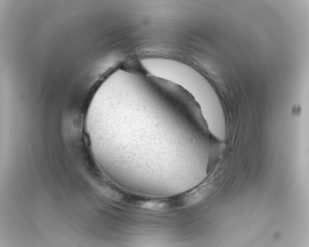 X0000090450168200708102057