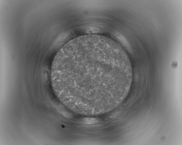 X0000090450169200708102057