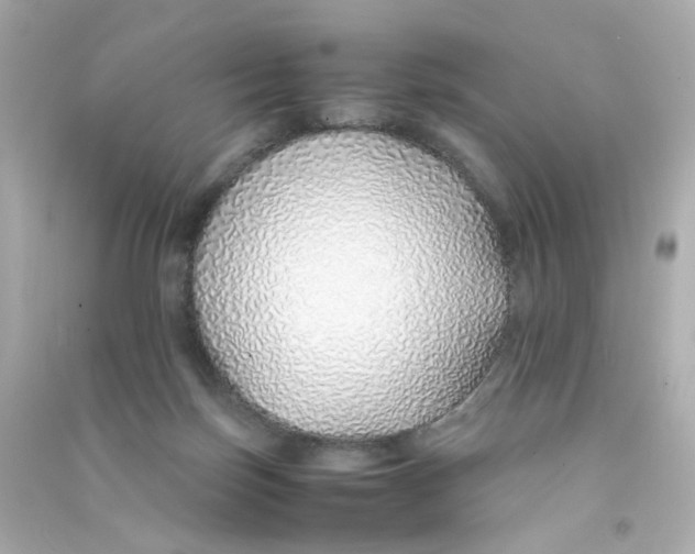 X0000090450171200708102057