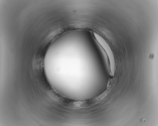 X0000090450172200708102057