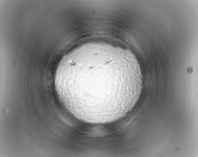 X0000090450173200708102057