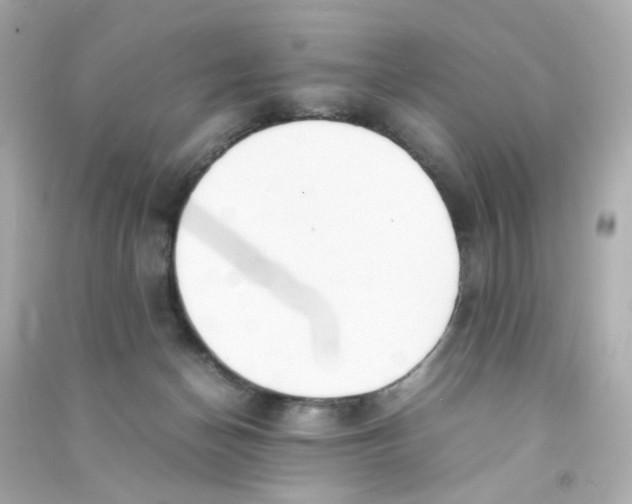 X0000090450174200708102057