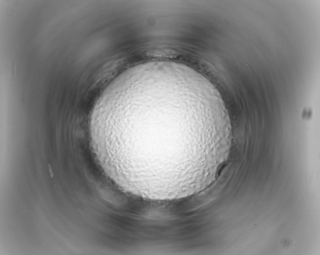 X0000090450175200708102057