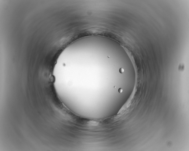 X0000090450176200708102057