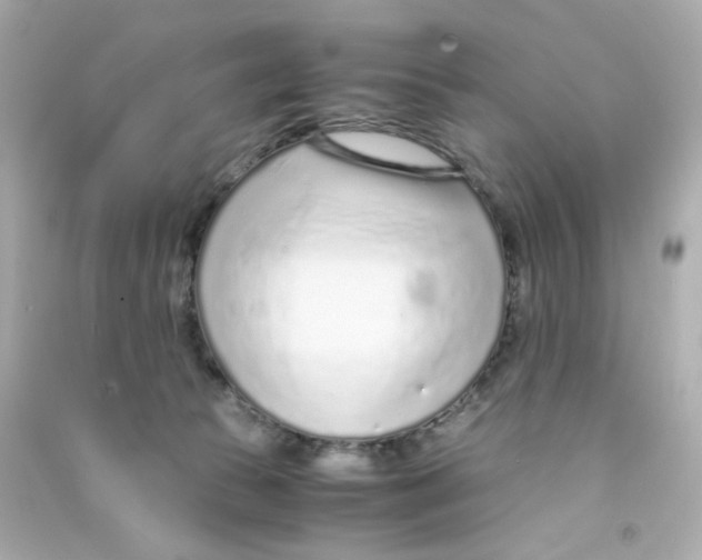 X0000090450177200708102057