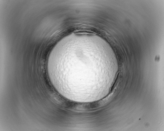 X0000090450178200708102057