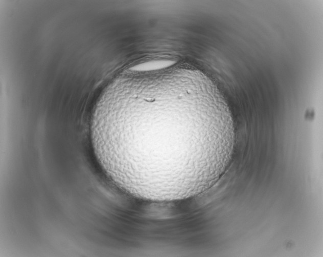 X0000090450179200708102057