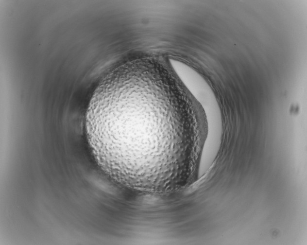 X0000090450180200708102057