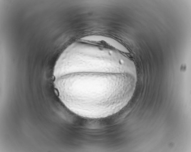 X0000090450181200708102057