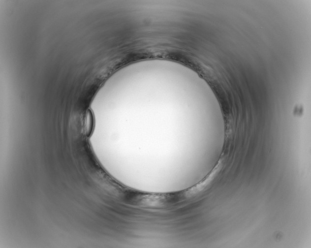 X0000090450182200708102057