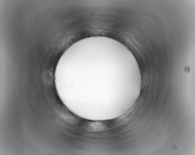 X0000090450183200708102057