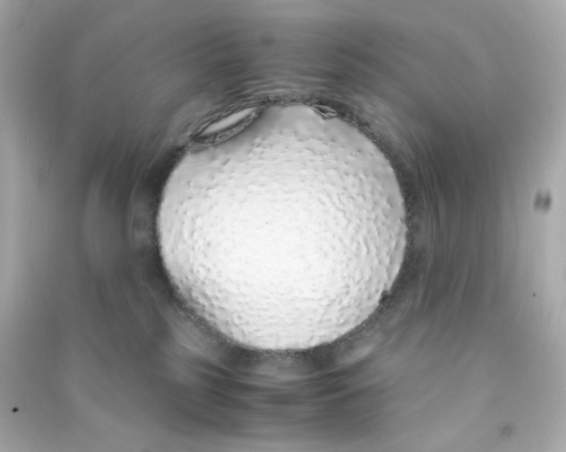 X0000090450185200708102057