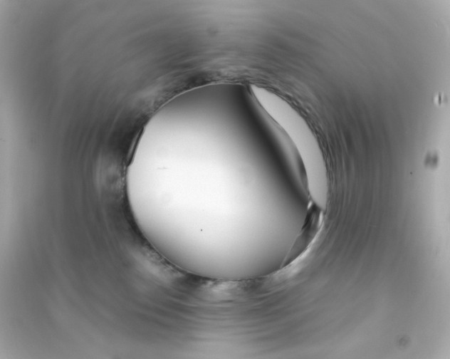 X0000090450186200708102057