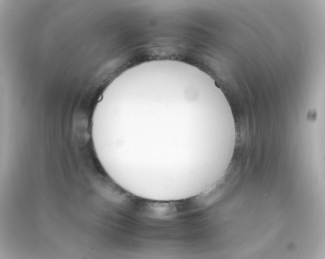 X0000090450187200708102057