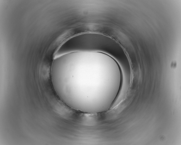 X0000090450188200708102057