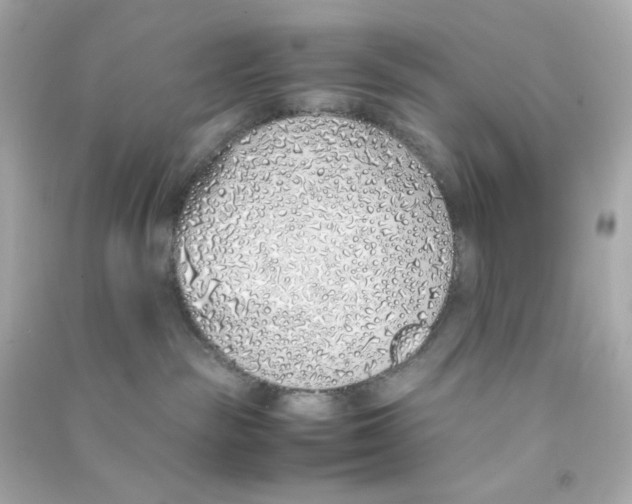 X0000090450189200708102057