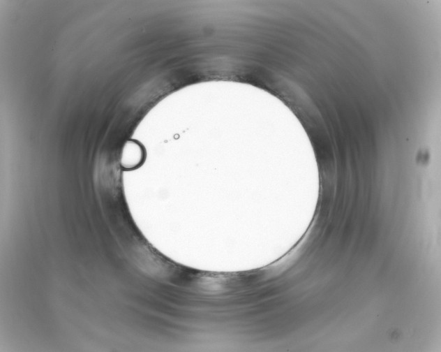 X0000090450190200708102057