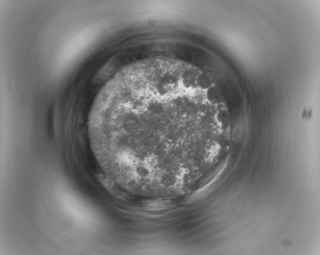 X0000090450191200708102057