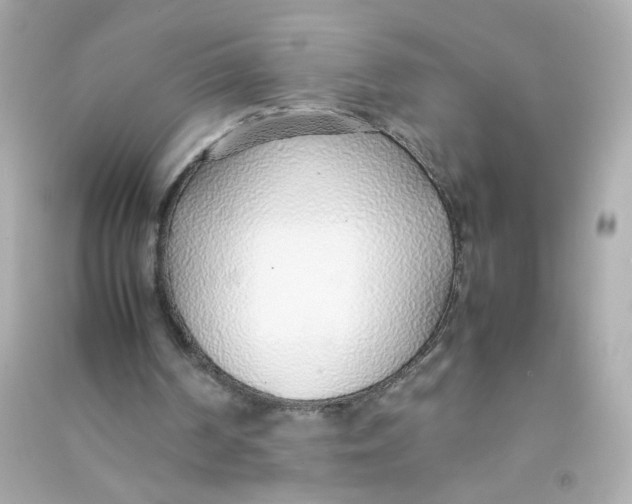 X0000090450194200708102057